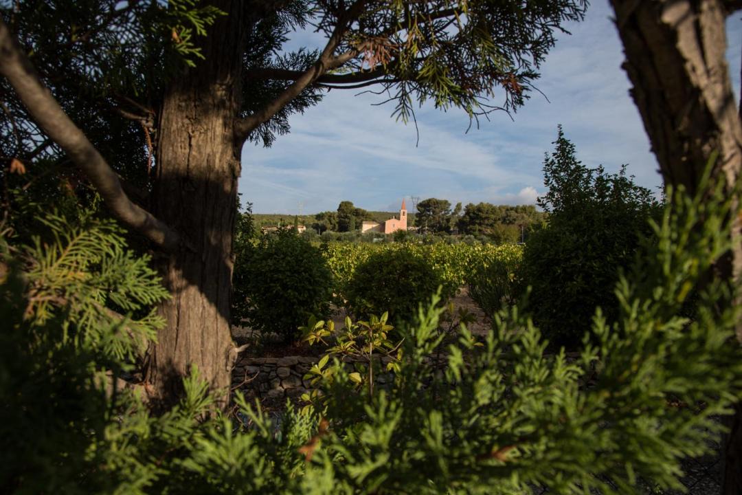 Photo of Others in Sainte-Anne du Castellet