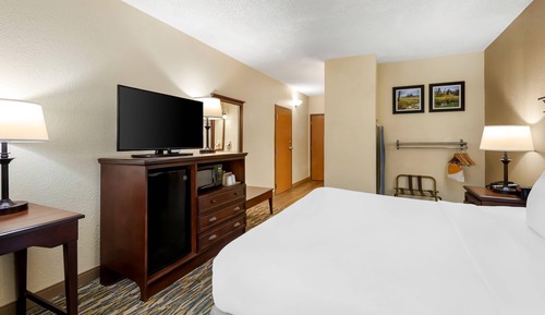 Room, 1 King Bed, Accessible, Non Smoking (Roll In Shower)