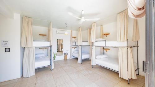 Bed in 8-Bed Mixed Dormitory Room