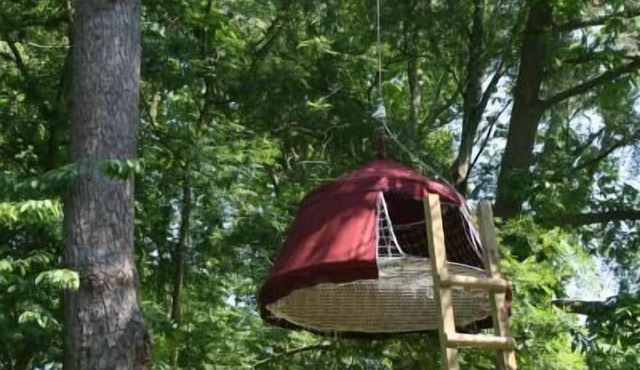 Woody Park